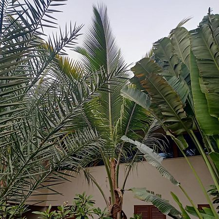 Casa Das Buganvilias Praia Exteriér fotografie