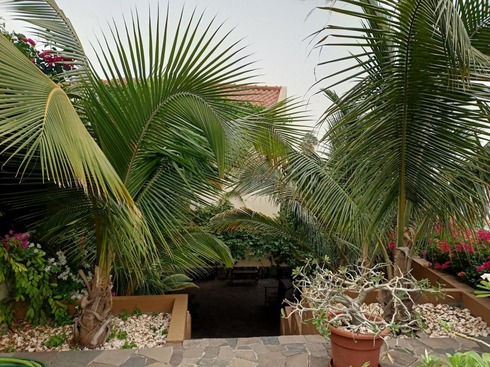 Casa Das Buganvilias Praia Exteriér fotografie